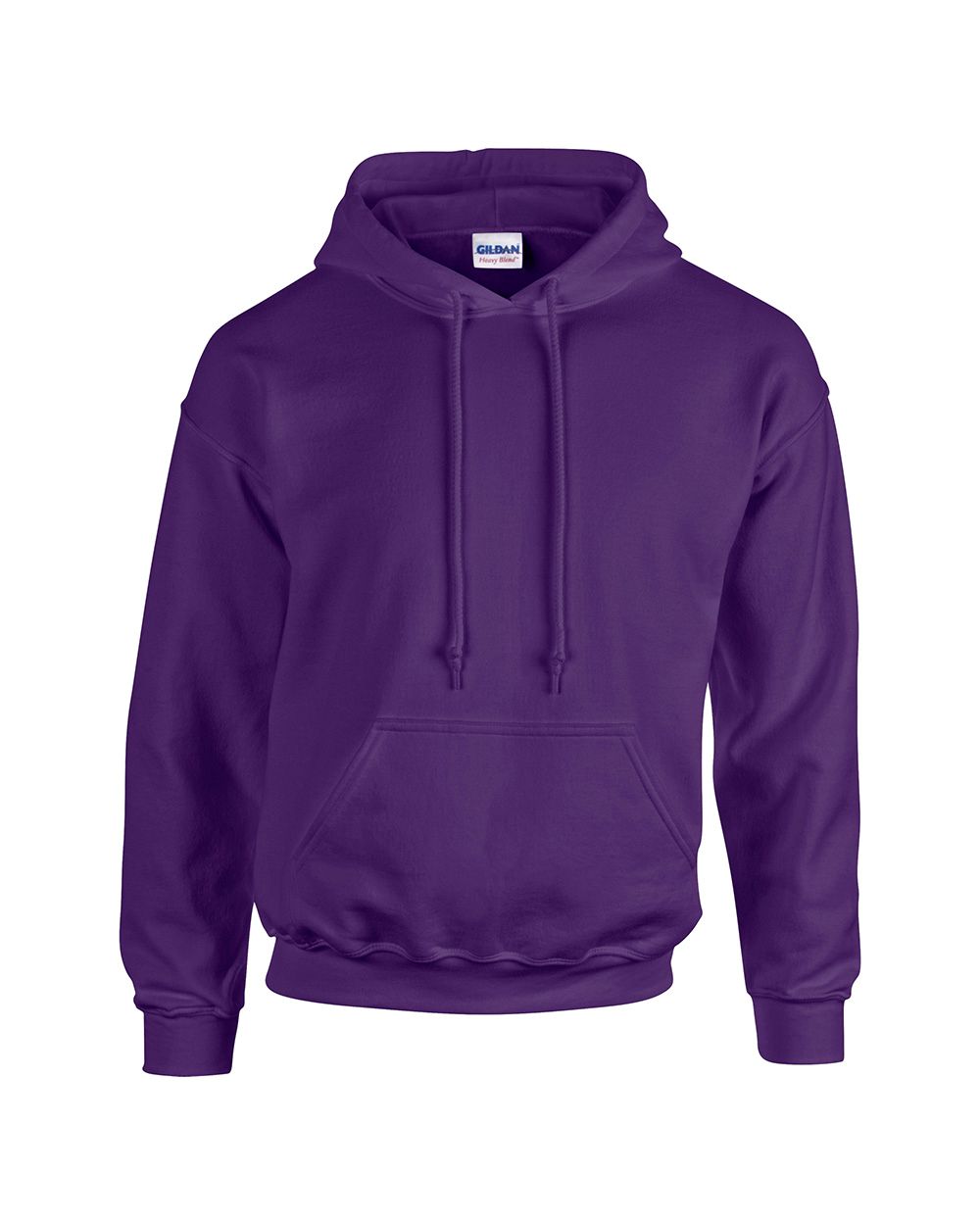 Chameleon Theatre Arts Adult Hoodie