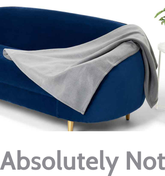 2,  Blanket by Absolutely Not