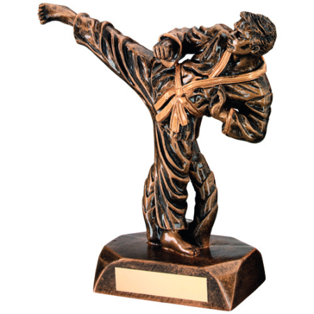 Karate Kick Trophy