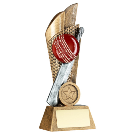 Cricket Bat & Ball Trophy