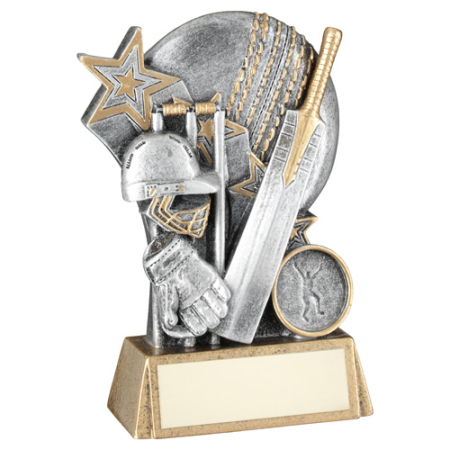 Grey & Bronze Cricket Trophy