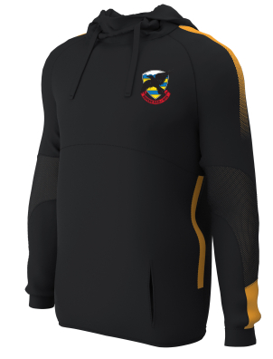 Ravens 1875 Poly Hoodie 
