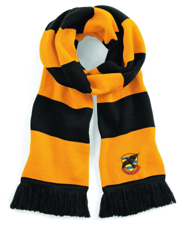 AA3. Ravens Scarf